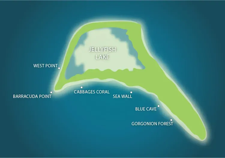 Kakaban Island Jellyfish Lake