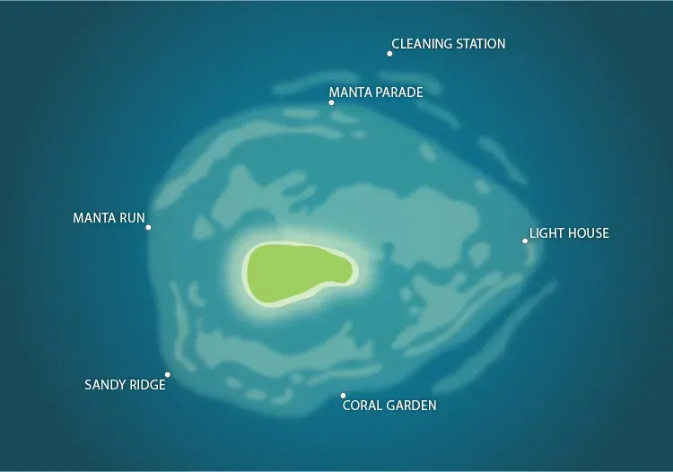 Sangalaki Island Turtles